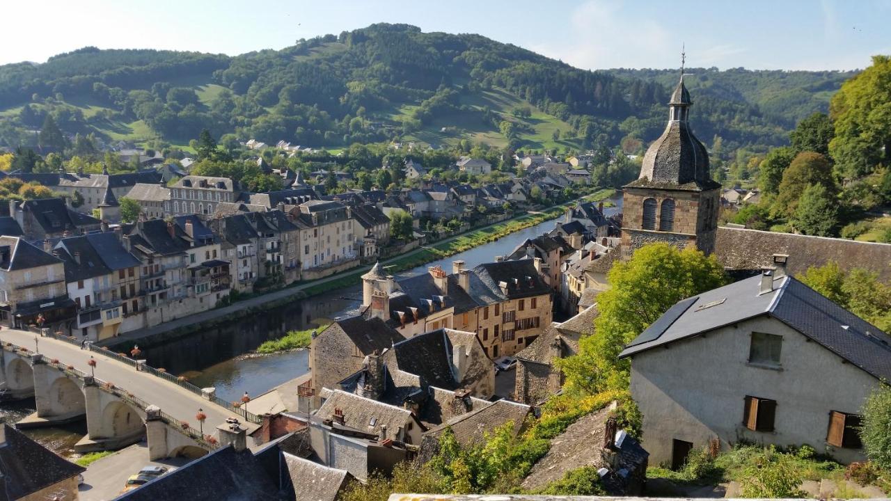 Chateau Ricard Saint-Geniez-dʼOlt 외부 사진
